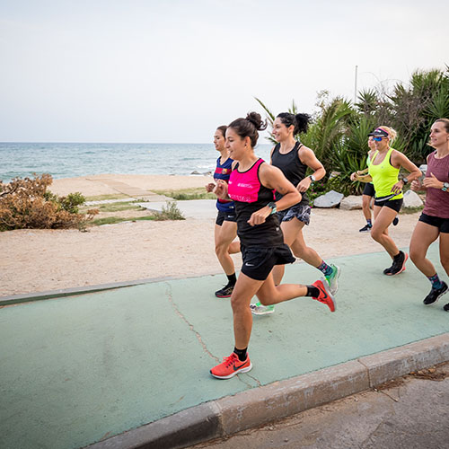 entrenamiento diario